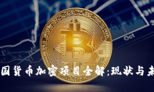 中国货币加密项目全解：现状与未来