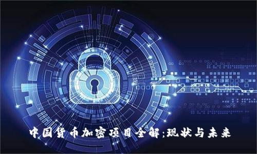 中国货币加密项目全解：现状与未来