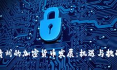 贵州的加密货币发展：机遇与挑战