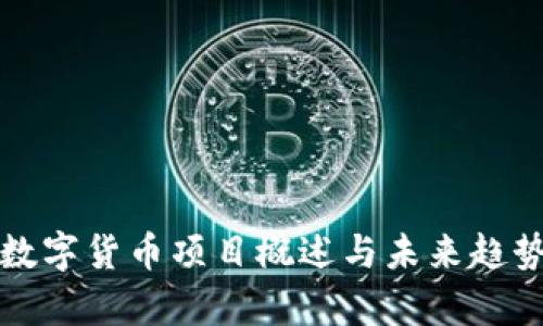 加密数字货币项目概述与未来趋势分析