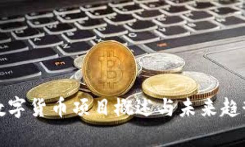 加密数字货币项目概述与未来趋势分析