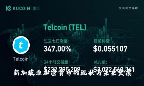新加坡非加密货币的现状与未来发展