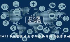 2021年加密货币熊市的全面