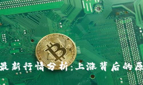 加密货币市场最新行情分析：上涨背后的原因与未来走势