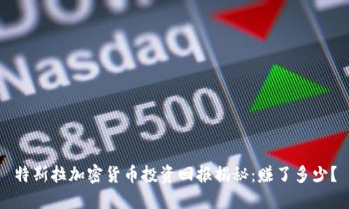 特斯拉加密货币投资回报揭秘：赚了多少？