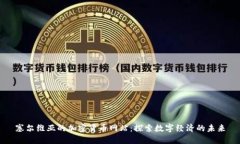 塞尔维亚的加密货币网站：探索数字经济的未来