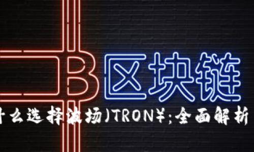TP钱包为什么选择波场（TRON）：全面解析与优势剖析